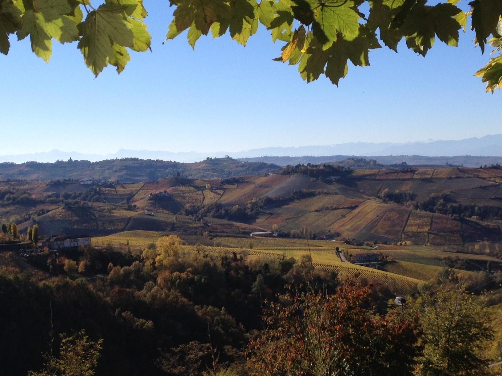 Viasavona46 Nel Cuore Delle Langhe Трейзо Екстериор снимка